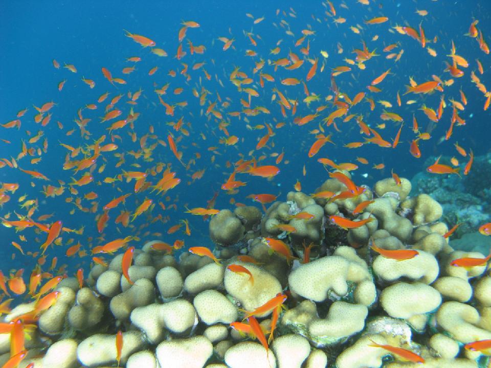 2012_02_16 rotes meer 266.jpg